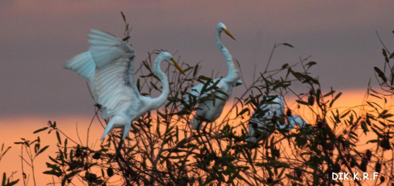 Pacaya Samiria Amazon Lodge Nauta 외부 사진