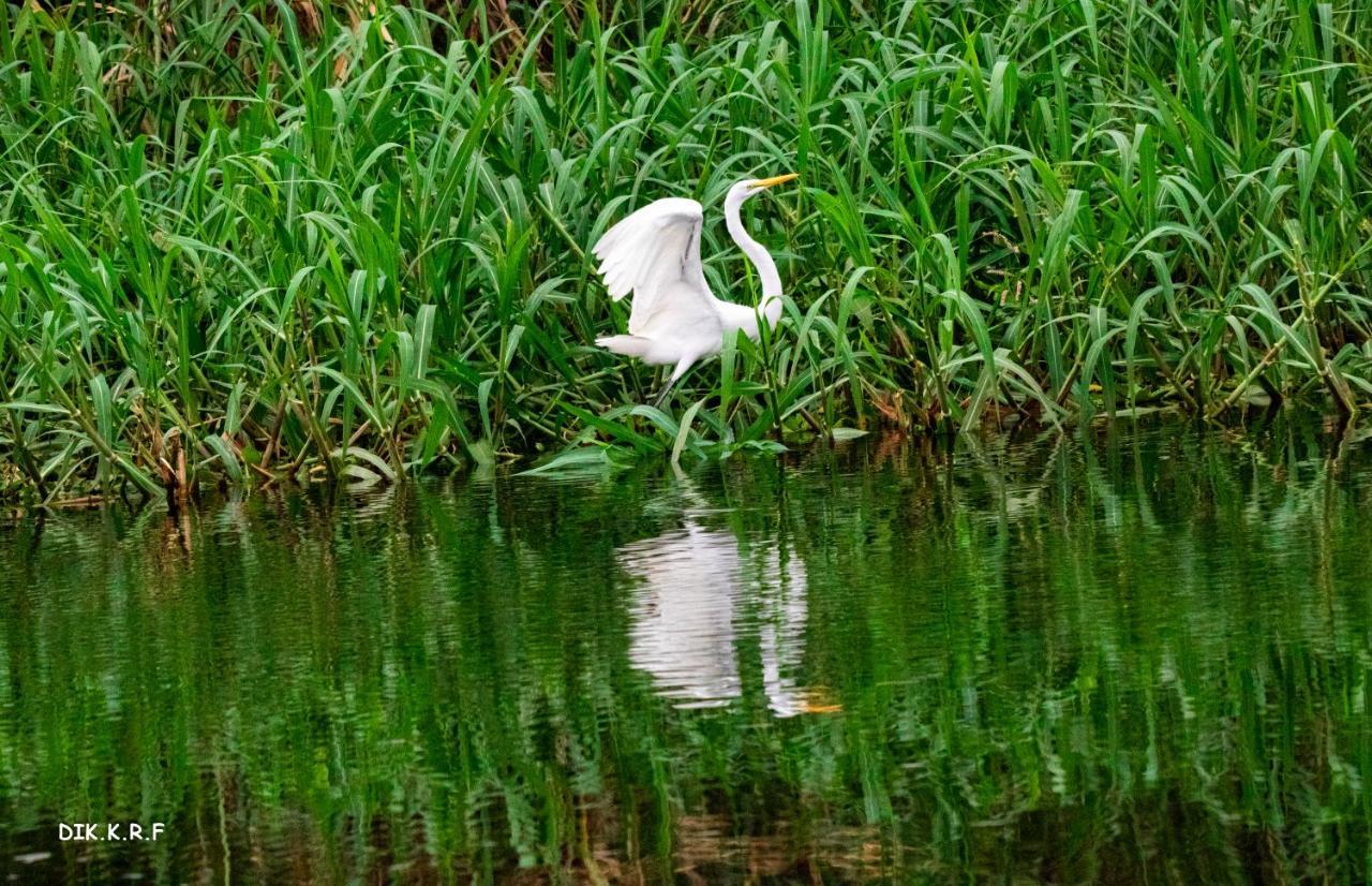 Pacaya Samiria Amazon Lodge Nauta 외부 사진